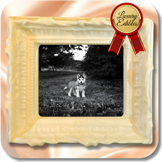 4K Chocolate Image Bars – Furry Friends Edition - Dessert Print 12 Pieces - 10% off / Oval / Dark Chocolate 4K Chocolate Image Bars – Furry Friends Edition